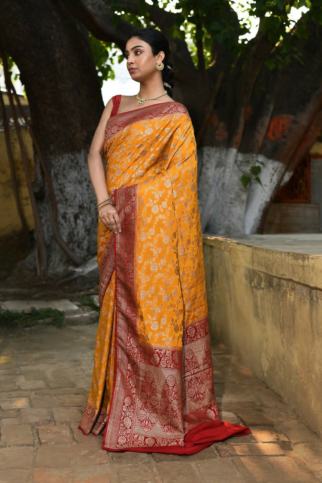Joban Fashion Gold Crepe Chiffon Pure Handloom Banarasi Silk Saree