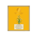 Forest Essentials Luxury Sugar Soap Sandalwood & Turmeric
