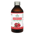 Sandu Dadimavaleha Syrup - Distacart