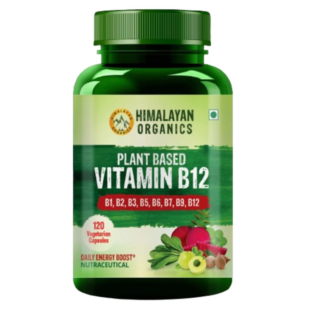Himalayan Organics Organic B12 500mg Vegetarian Capsules - Distacart