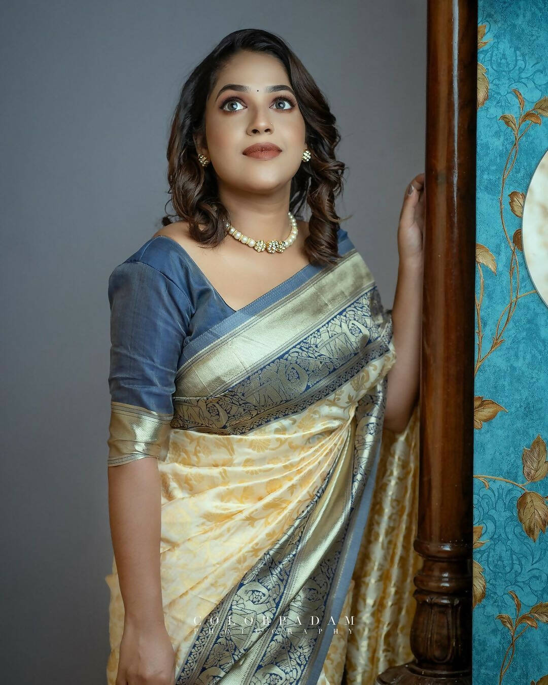 DEIANA'S Beautiful Designer Golden zari Soft Lichi Silk Saree - White