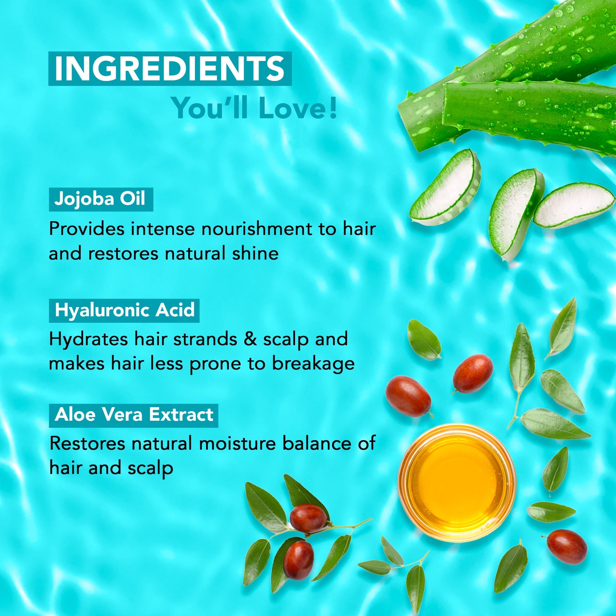 Botanic Hearth Jojoba Oil & Hyaluronic Acid Conditioner