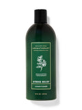 Bath & Body Works Eucalyptus Spearmint Conditioner