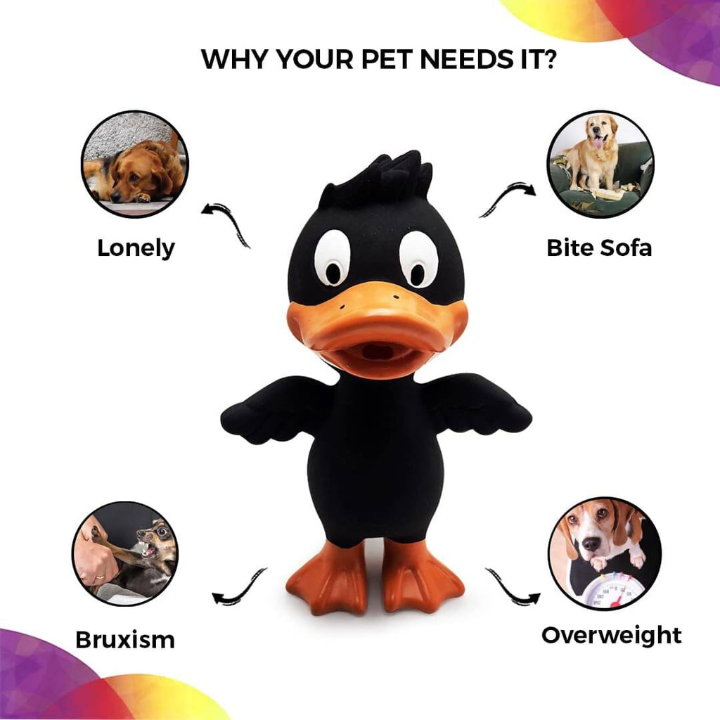 Goofy Tails Latex Dog Toys Duck - Black