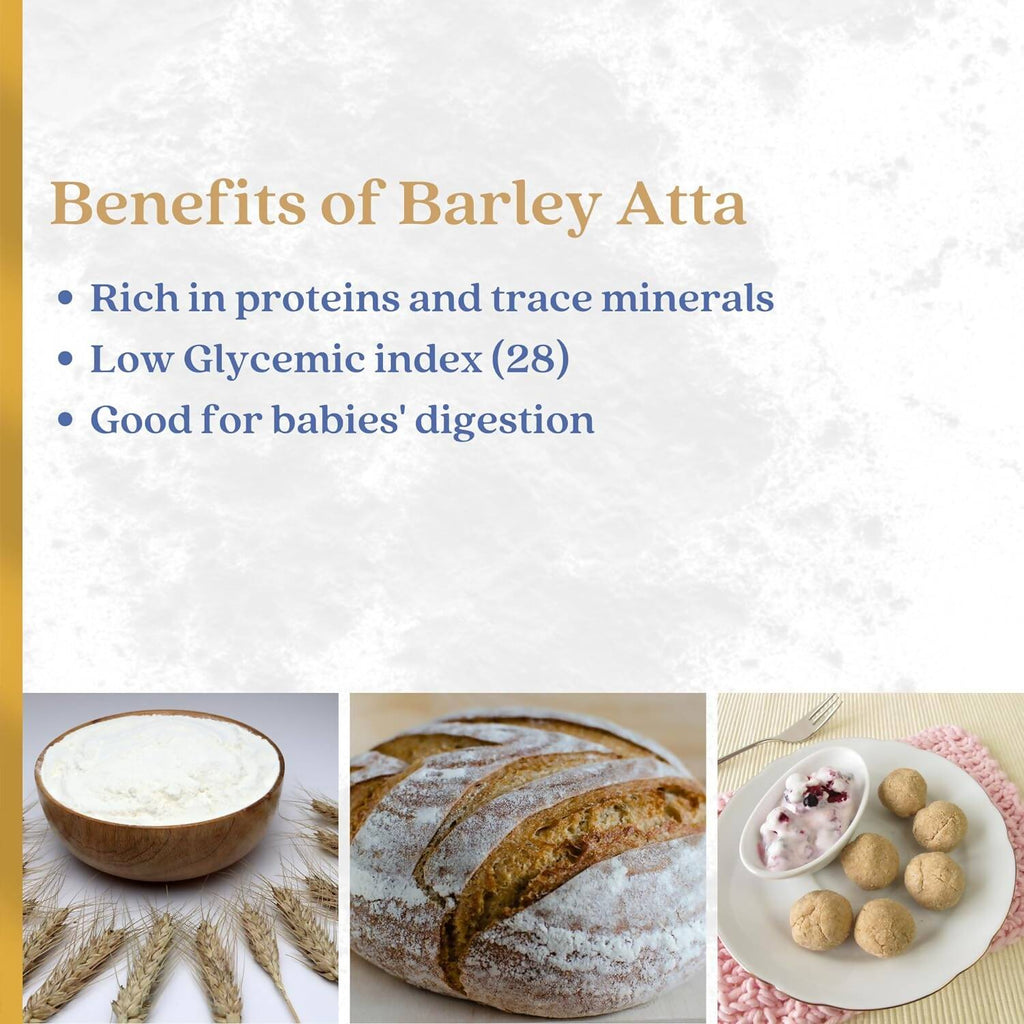 Earthen Story Certified Organic Pearl Barley Flour - Distacart