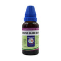 Father Muller Spiritus Quercus Glandium Mother Tincture Q - Distacart