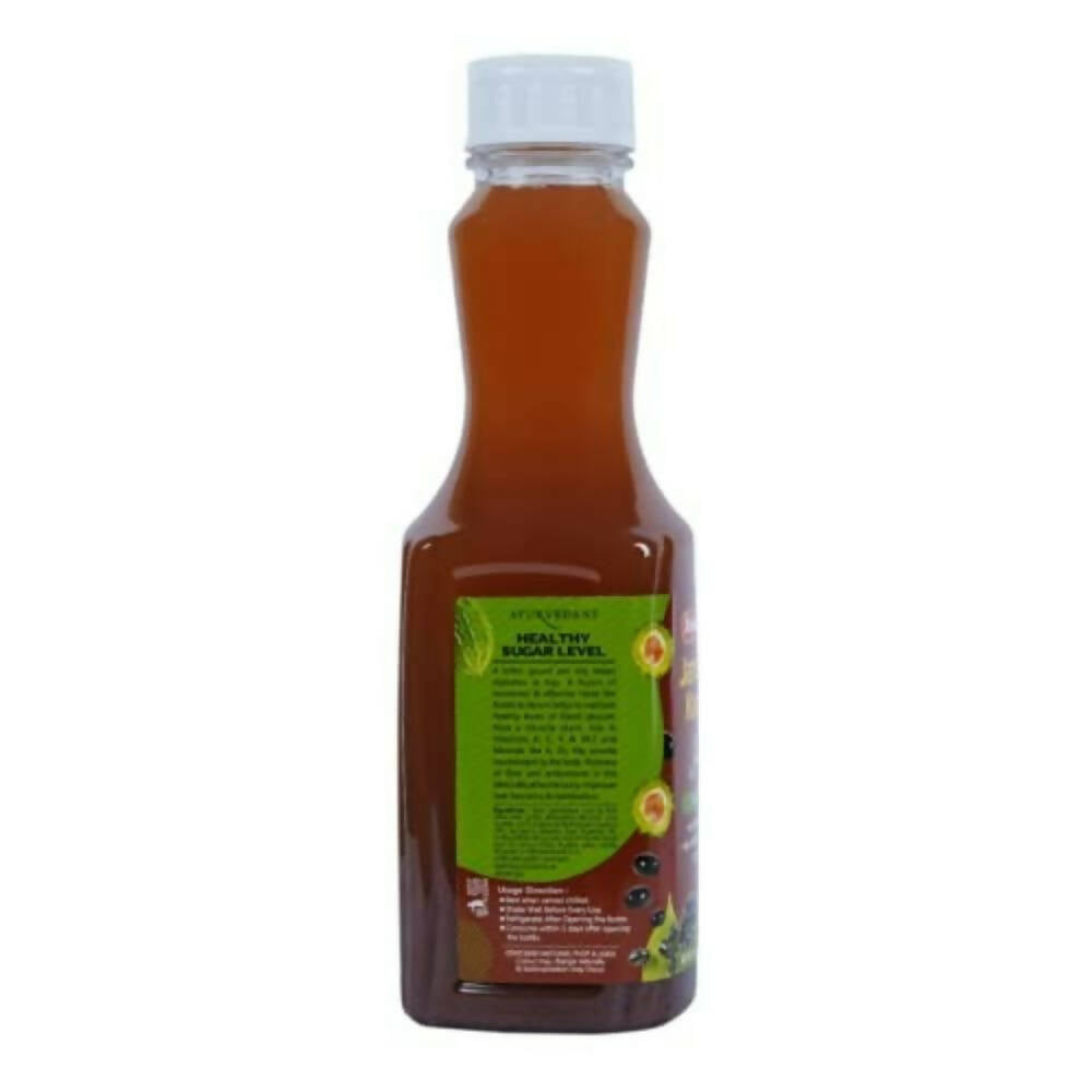 Baidyanath Jhansi Jamun Plus Karela Juice - Distacart