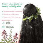 Sacred Grove Licorice & Peppermint Deep Clean Scalp Mask