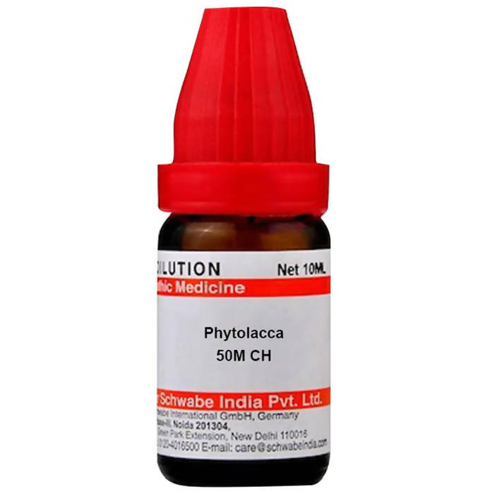 Dr. Willmar Schwabe India Phytolacca Dilution - Distacart