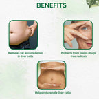 Dr. Vaidya's Liver Care Capsules - Distacart