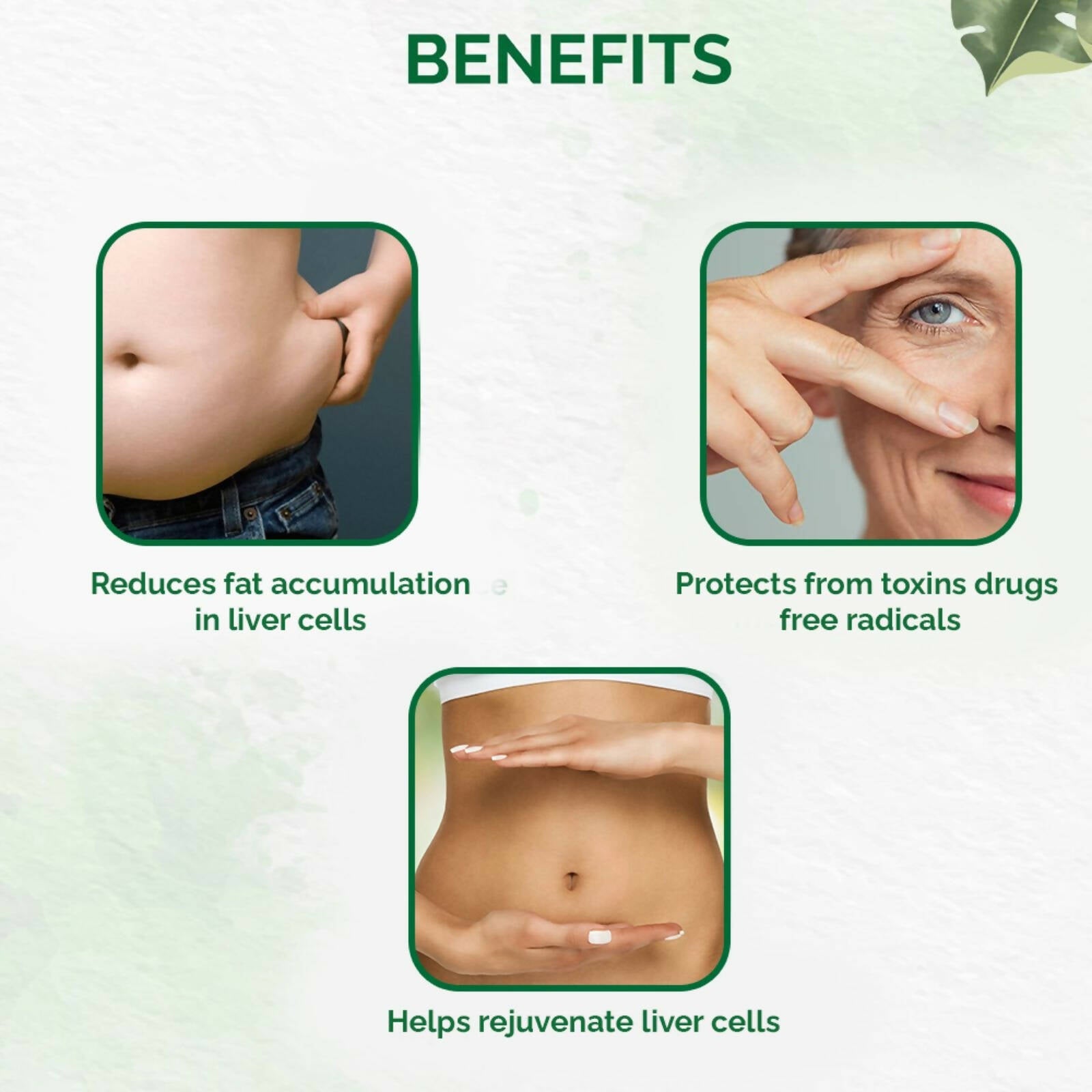 Dr. Vaidya's Liver Care Capsules - Distacart