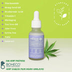 Natural Vibes Acne & Dark Spot Corrector Face Serum