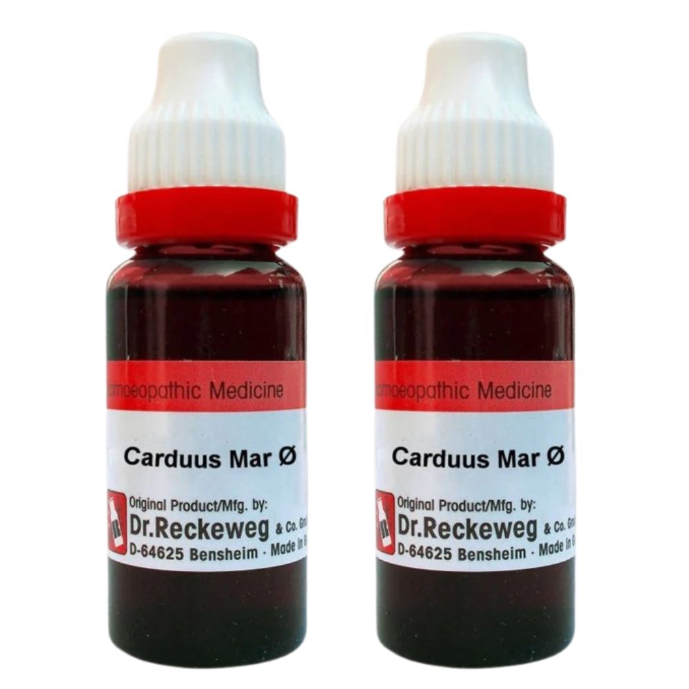 Dr. Reckeweg Carduus Mar Mother Tincture Q - Distacart