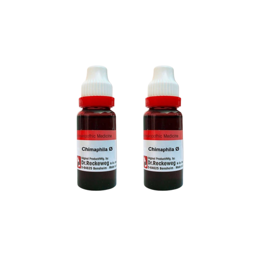 Dr. Reckeweg Chimaphila Mother Tincture Q - Distacart