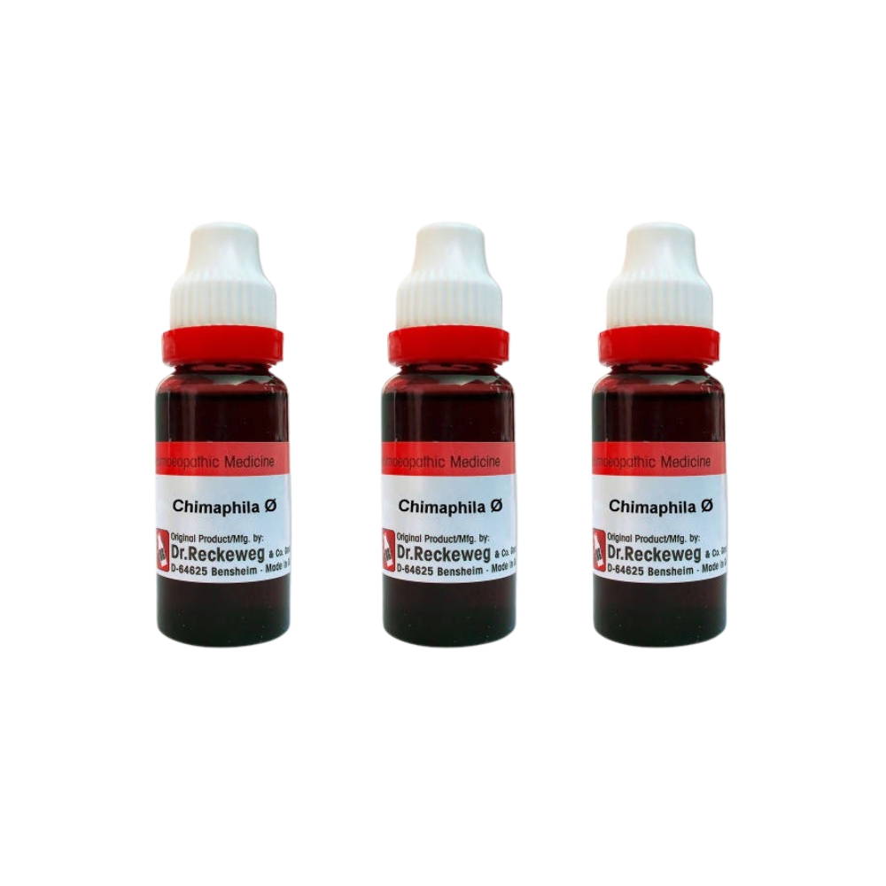 Dr. Reckeweg Chimaphila Mother Tincture Q - Distacart