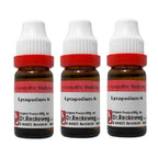 Dr. Reckeweg Lycopodium Dilution - Distacart