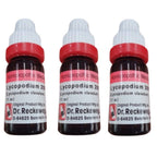 Dr. Reckeweg Lycopodium Dilution - Distacart