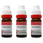 Dr. Reckeweg Nux Vomica Dilution - Distacart