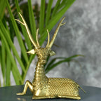 Sowpeace The Dearest Deer - Distacart