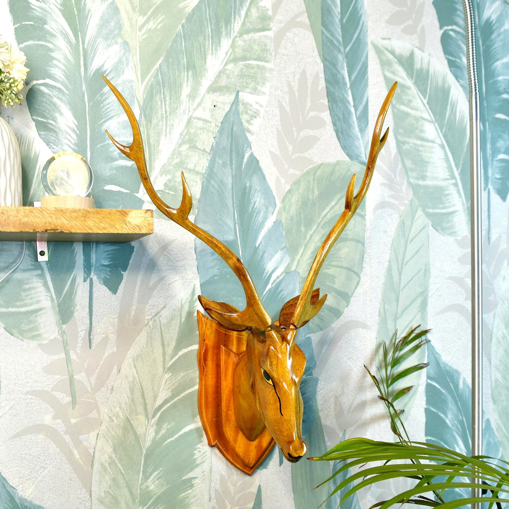 Sowpeace The Big wise head - Distacart