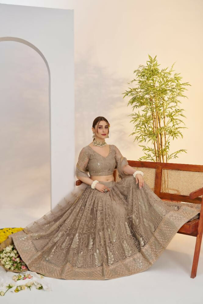 Aastha Fashion Metallic Gray Butterfly Net Tone To Tone Cotton Thread Work And Sequence Work Embroidery Wedding Wear Lehenga Choli