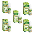 Dwibhashi Eucalyptus Oil (Tailaparna Tailam)
