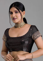 Vamika Black Chinon Zari Embroidery With Sequins Saree