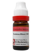 Dr. Reckeweg Lemna Minor Dilution - Distacart