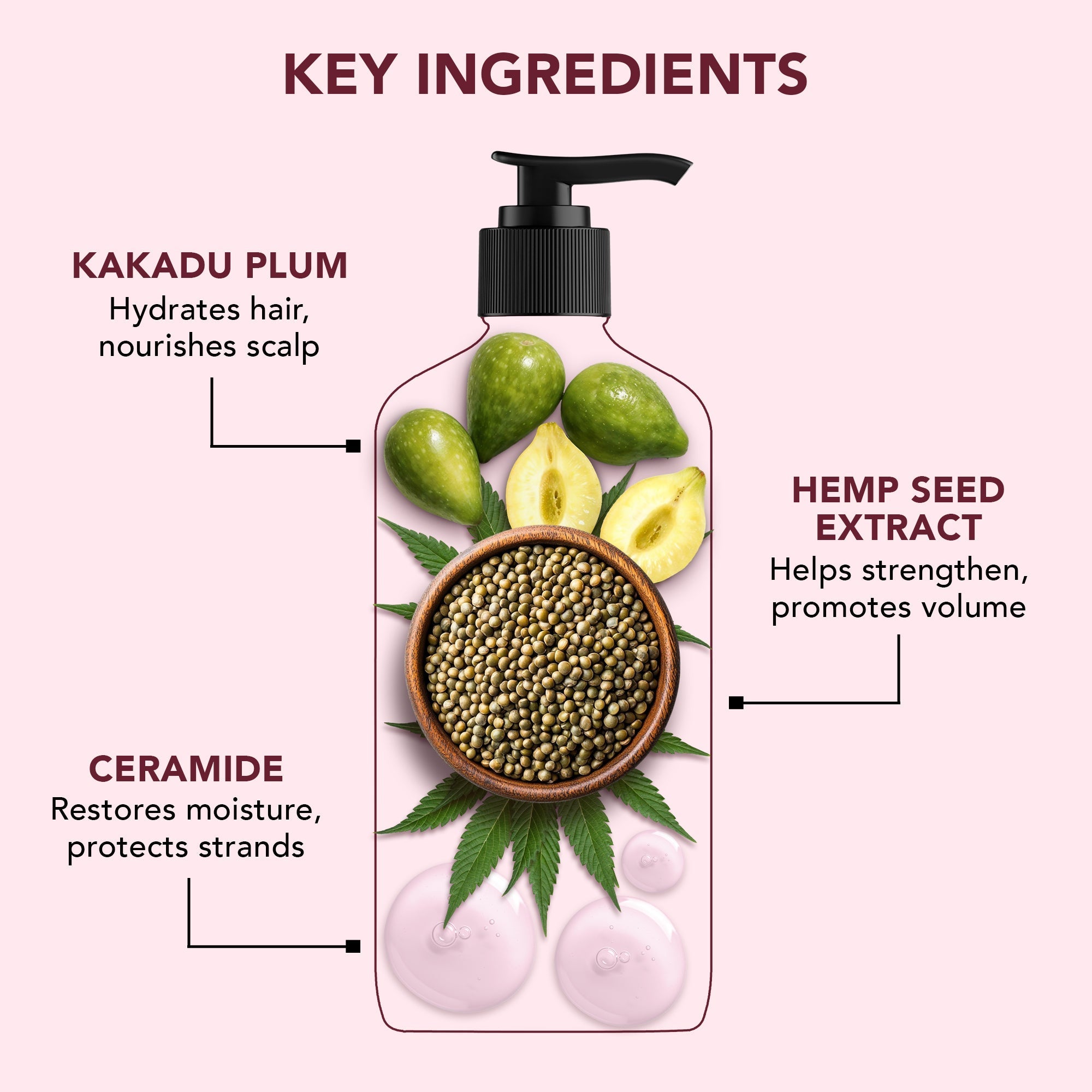 Botanic Hearth Defrizz & Hydrate Shampoo with Hemp Seed Extract & Ceramide