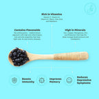 Flyberry Gourmet Dried Bold Blueberries - Distacart