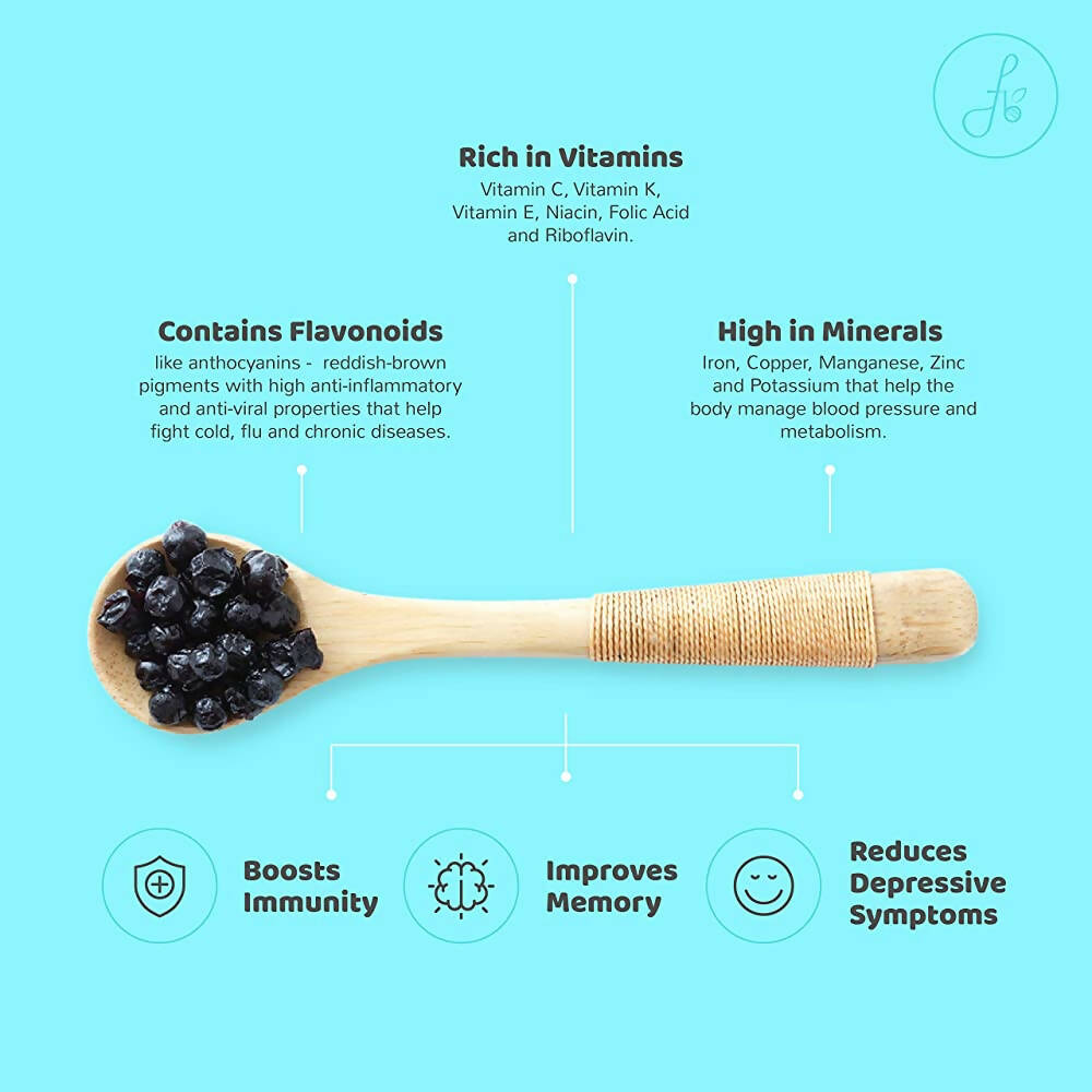 Flyberry Gourmet Dried Bold Blueberries - Distacart