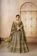 Kesar Fab Mehendi Net Hand_Woven Lehenga
