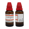 Dr. Willmar Schwabe India Syzygium Jambolanum Mother Tincture Q