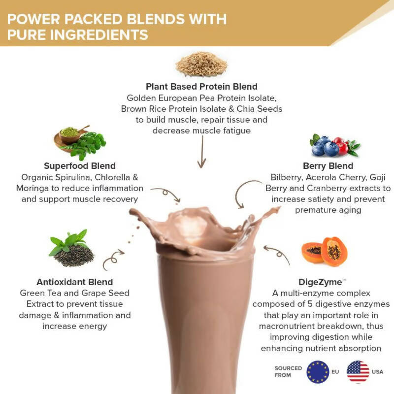 Wellbeing Nutrition Superfood Plant Protein Isolate - Italian Cafe Mocha - Distacart