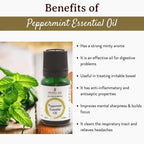 Mitti Se Peppermint Essential Oil