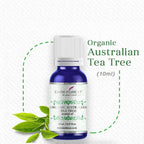 Dark Forest Organic Australian Tea Tree Essential Oil