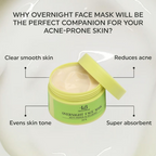 House of Beauty Overnight Face Mask