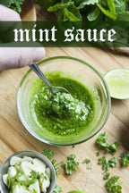 Shuddh Natural Mint Powder - Aromatic Flavor - Distacart