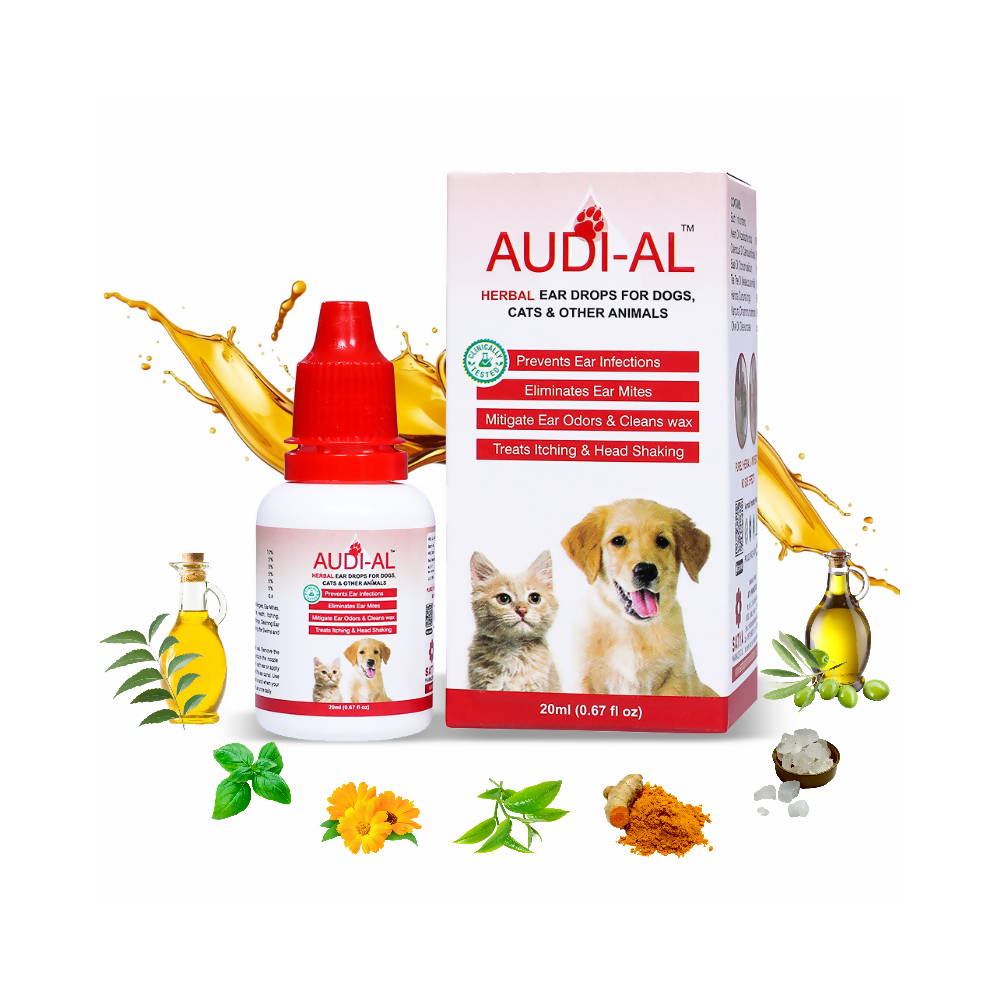 Audi-Al (1)