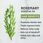 Skiura Nature Rosemary Essential Oil For Hair Growth