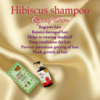 Urbaano Herbal Anti Hair fall Hibiscus Extract Rich Shampoo & Conditioner