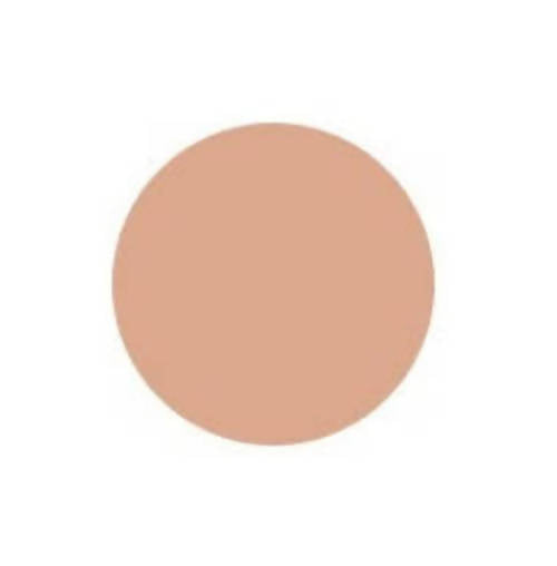 Innisfree My Foundation 1.5 - N31 Walnut