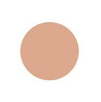 Innisfree My Foundation 1.5 - N31 Walnut