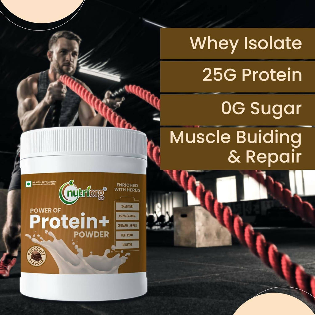 Nutriorg Protein Plus Chocolate Flavor Powder - Distacart