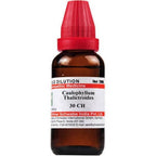 Dr. Willmar Schwabe India Caulophyllum Thalictroides Dilution