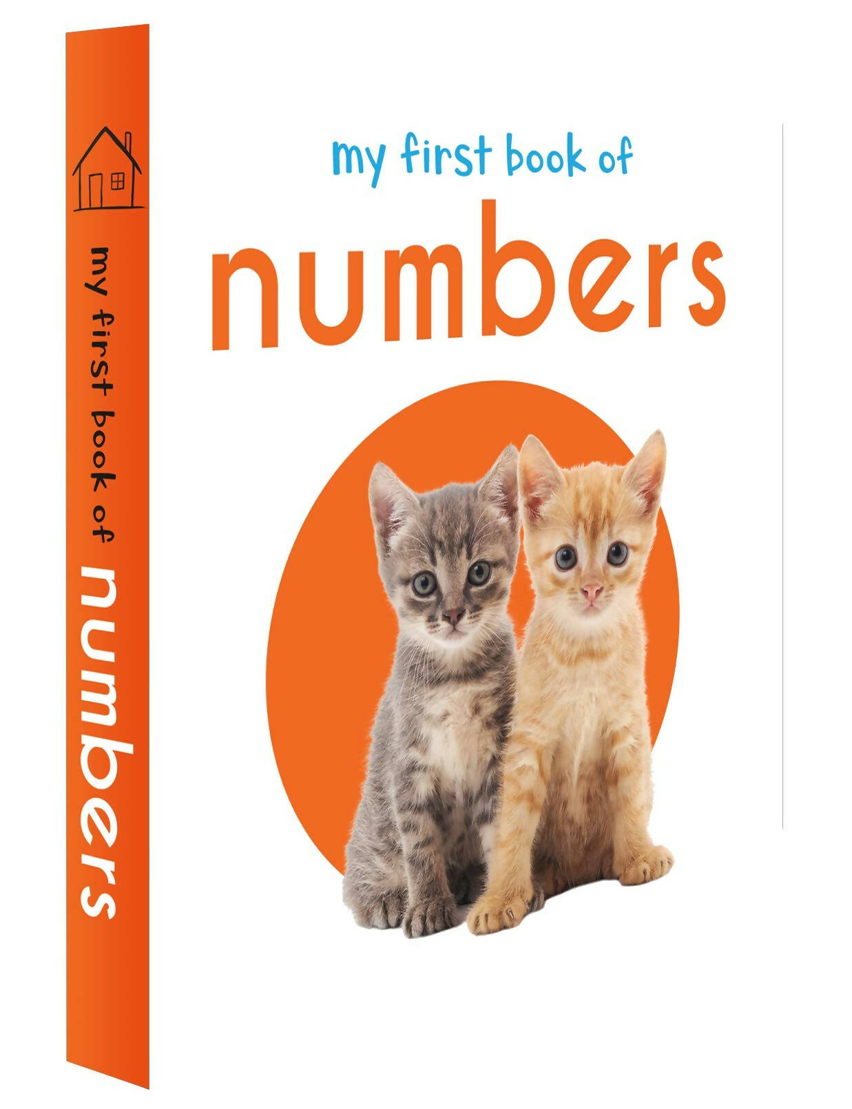 Wonder House Books My First Mini Library : Boxset of 10 Board Books - Distacart