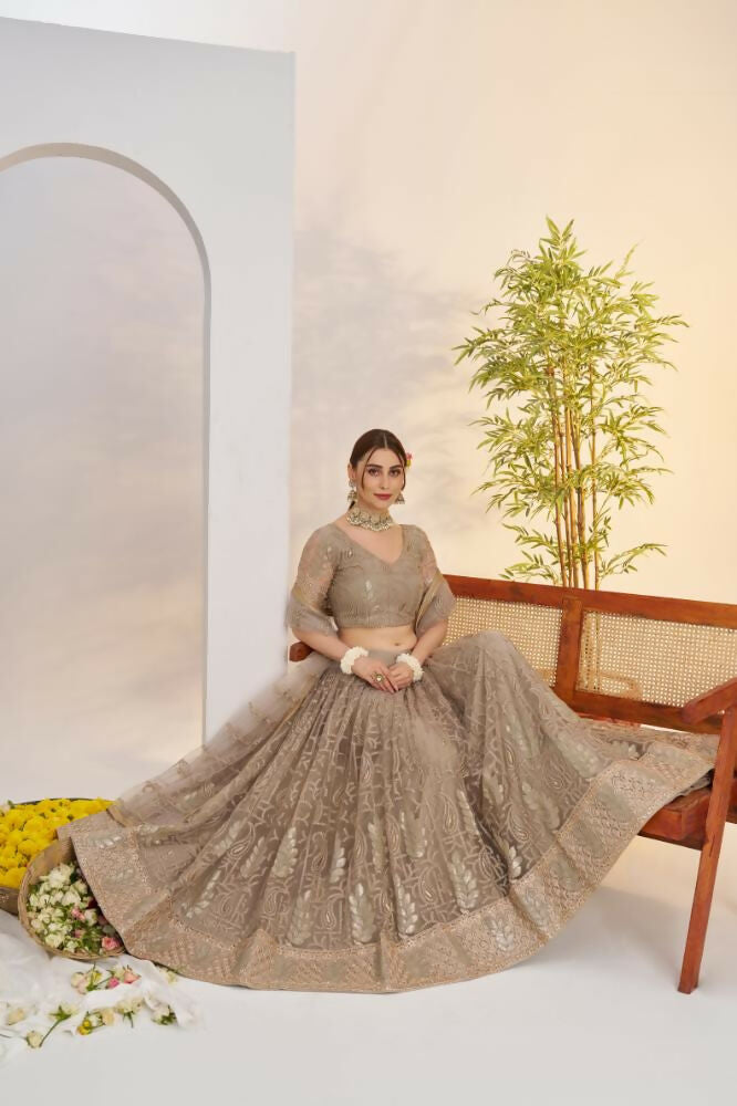 Aastha Fashion Metallic Gray Butterfly Net Tone To Tone Cotton Thread Work And Sequence Work Embroidery Wedding Wear Lehenga Choli