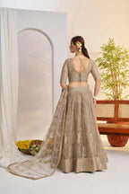 Aastha Fashion Metallic Gray Butterfly Net Tone To Tone Cotton Thread Work And Sequence Work Embroidery Wedding Wear Lehenga Choli