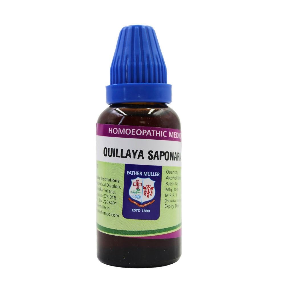 Father Muller Quillaya Saponaria Mother Tincture Q - Distacart