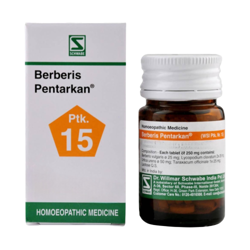 Dr. Willmar Schwabe India Berberis Pentarkan Tablets - Distacart